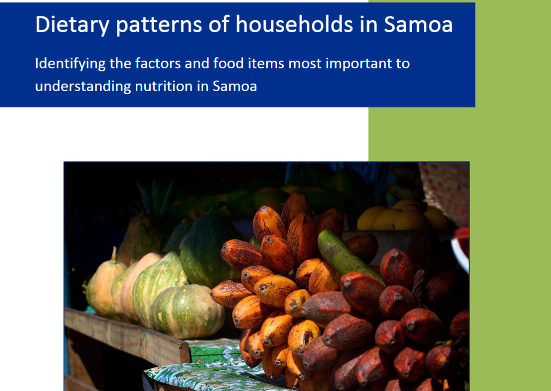 Dietary patterns of Households in Samoa